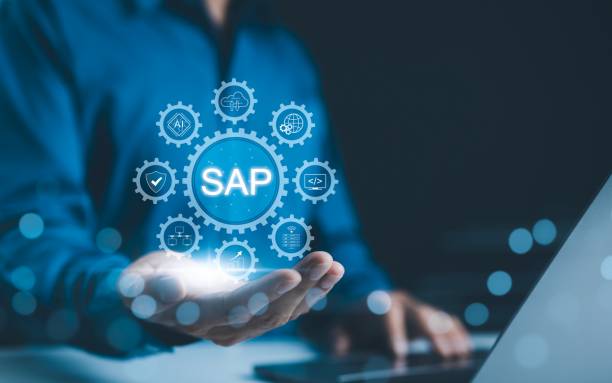 plan d'audit SAP personnalisé